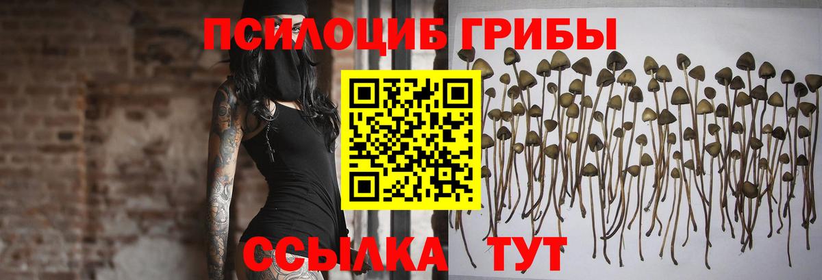 Псилоцибиновые грибы Cubensis  Вход с VPN  Псилоцибиновые грибы GOLDEN TEACHER  Когалым 